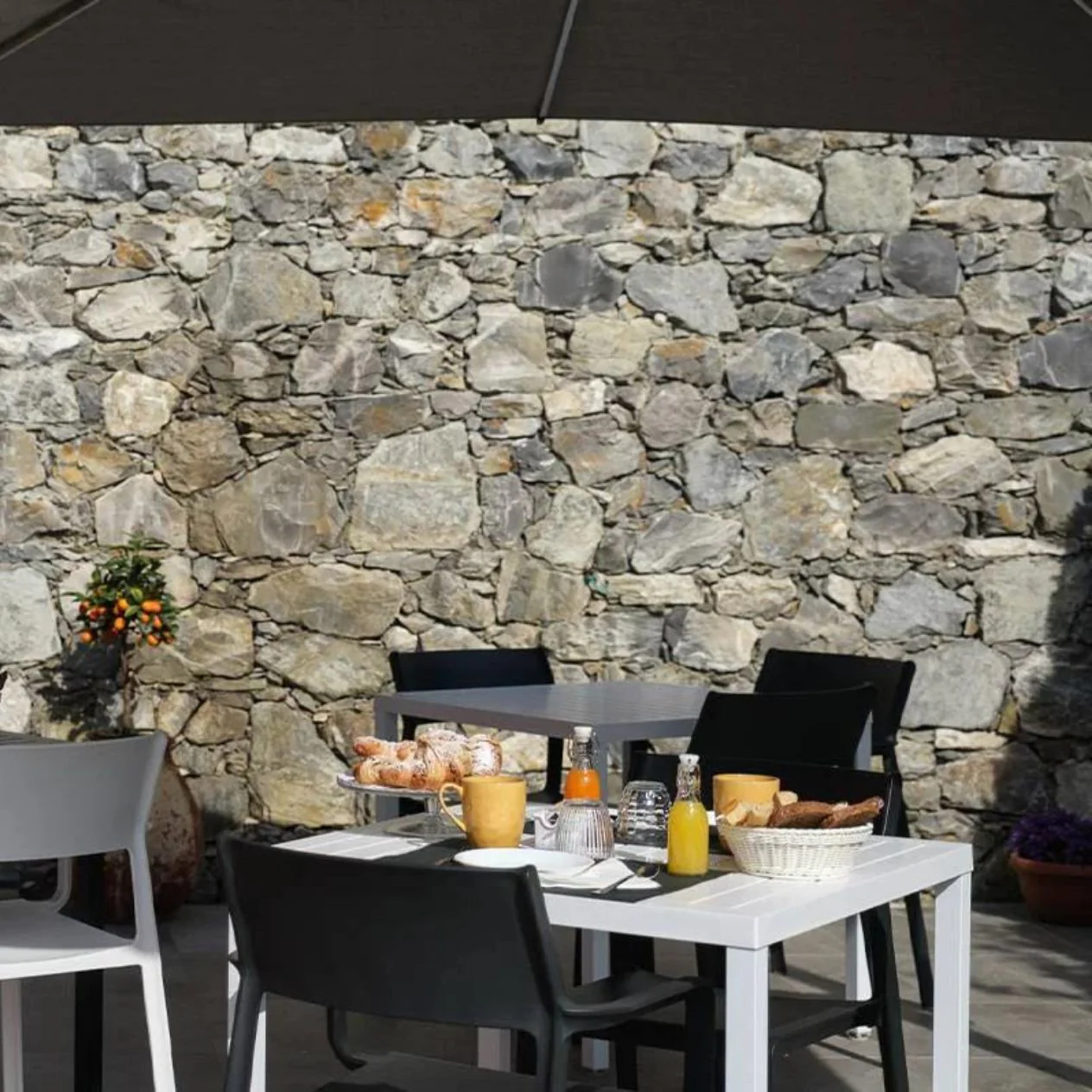 Nardi Trill Outdoor Resin Dining Armchair - Image 11